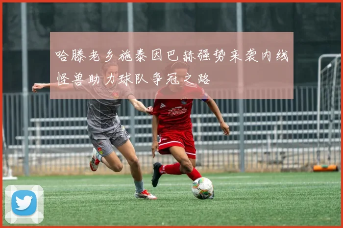 哈滕老乡施泰因巴赫强势来袭内线怪兽助力球队争冠之路