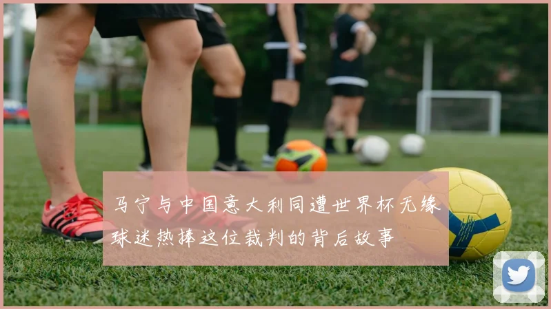 马宁与中国意大利同遭世界杯无缘球迷热捧这位裁判的背后故事